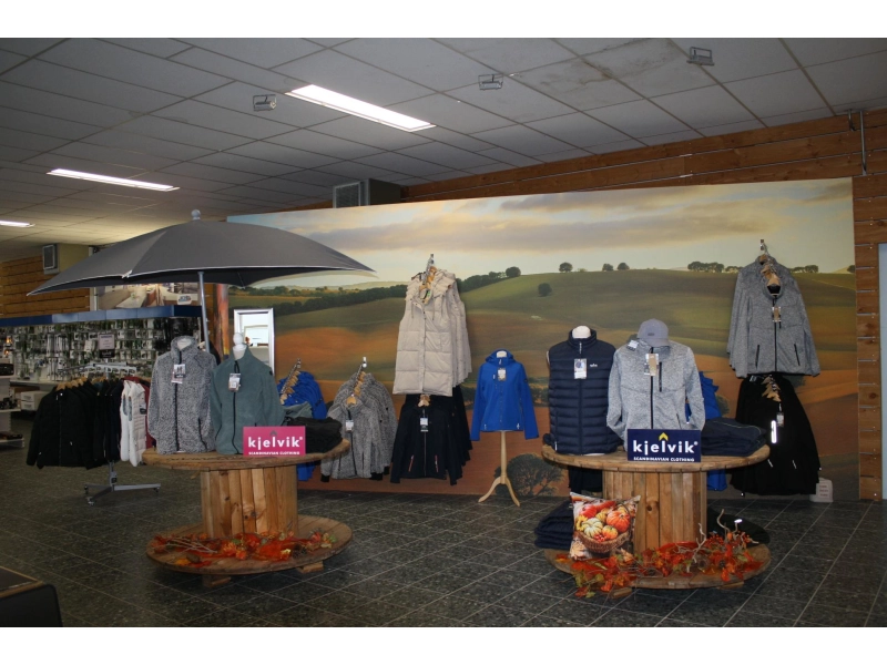 Beachy 420 NIEUW  foto: 10